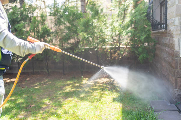 Best Outdoor Pest Control  in Orange, VA